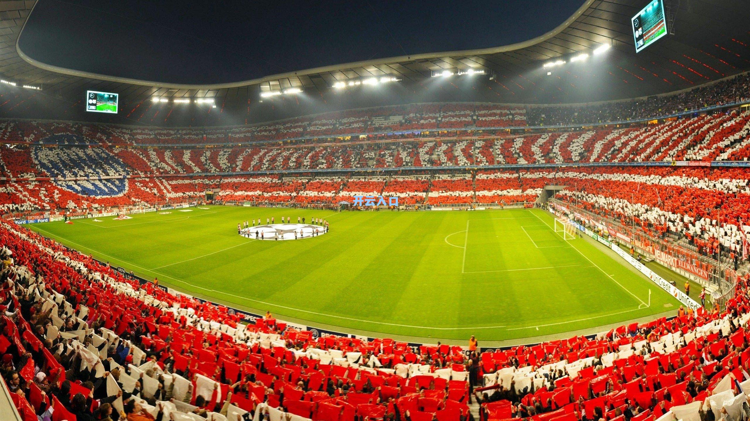 开云：若昂-内维斯专访，B费是我国家队领路人，他的信任让我能做最真实的自己